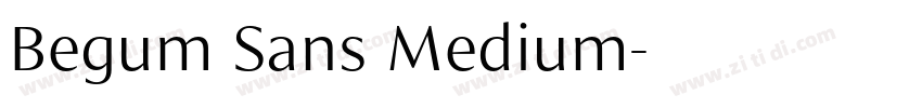 Begum Sans Medium字体转换